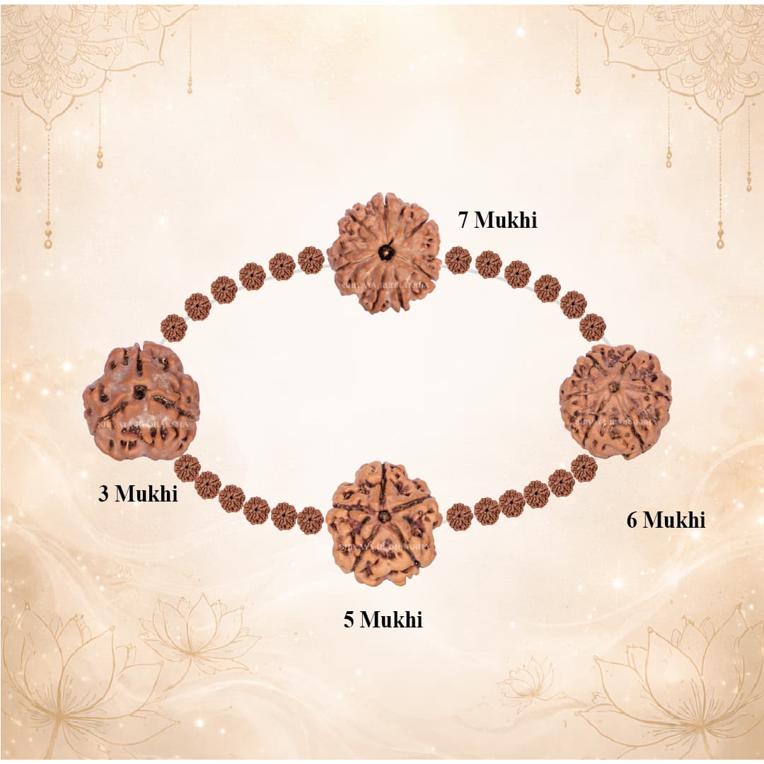 Health & Healing Premium Set - View 2