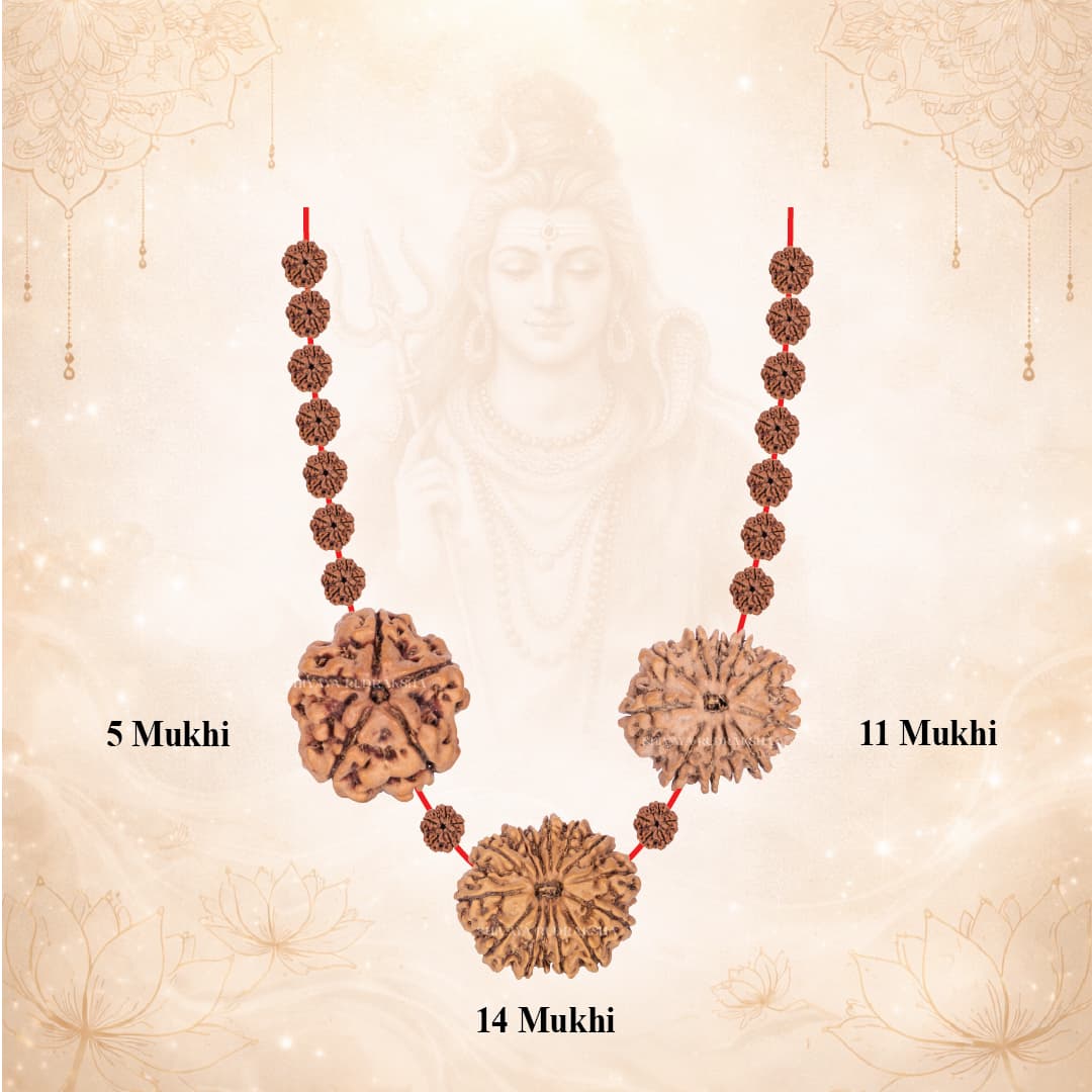 Hanuman Ultimate Protection Pair