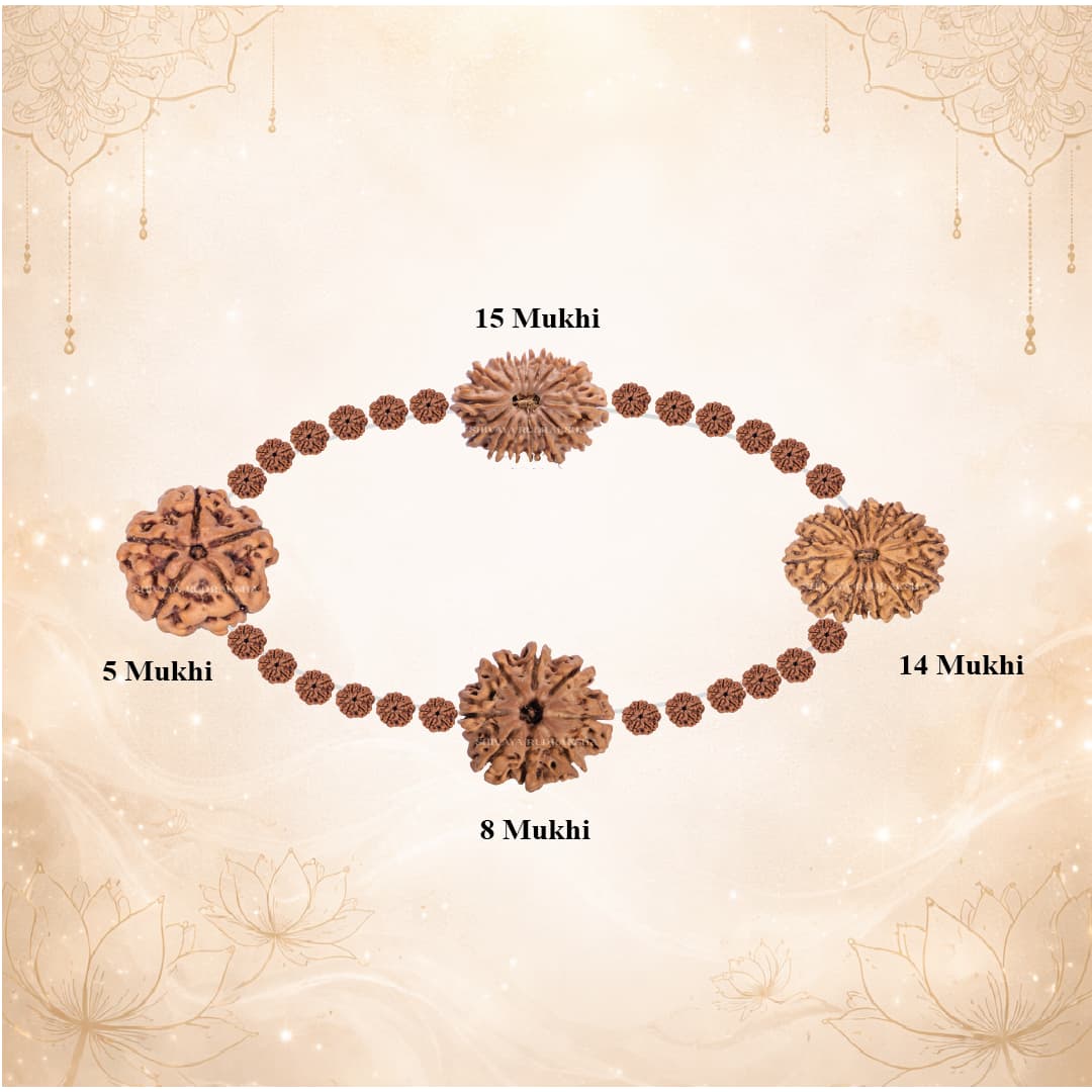 Rahu–Ketu Premium Balancing Set - View 2