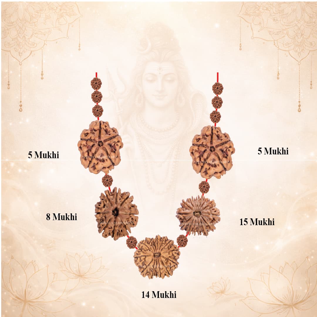 Rahu–Ketu Premium Balancing Set