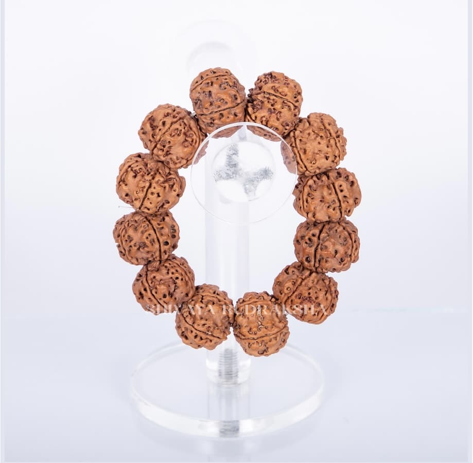 9 Mukhi Rudraksha Bracelet