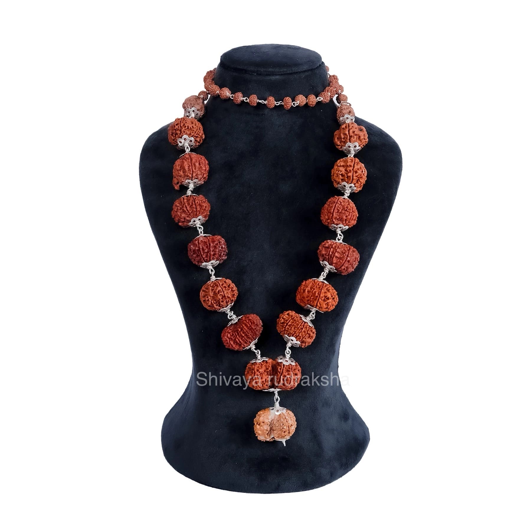 Shodasha Kalatmaka Maha Shiva Rudraksha Mala ( 1-16 Mukhi)