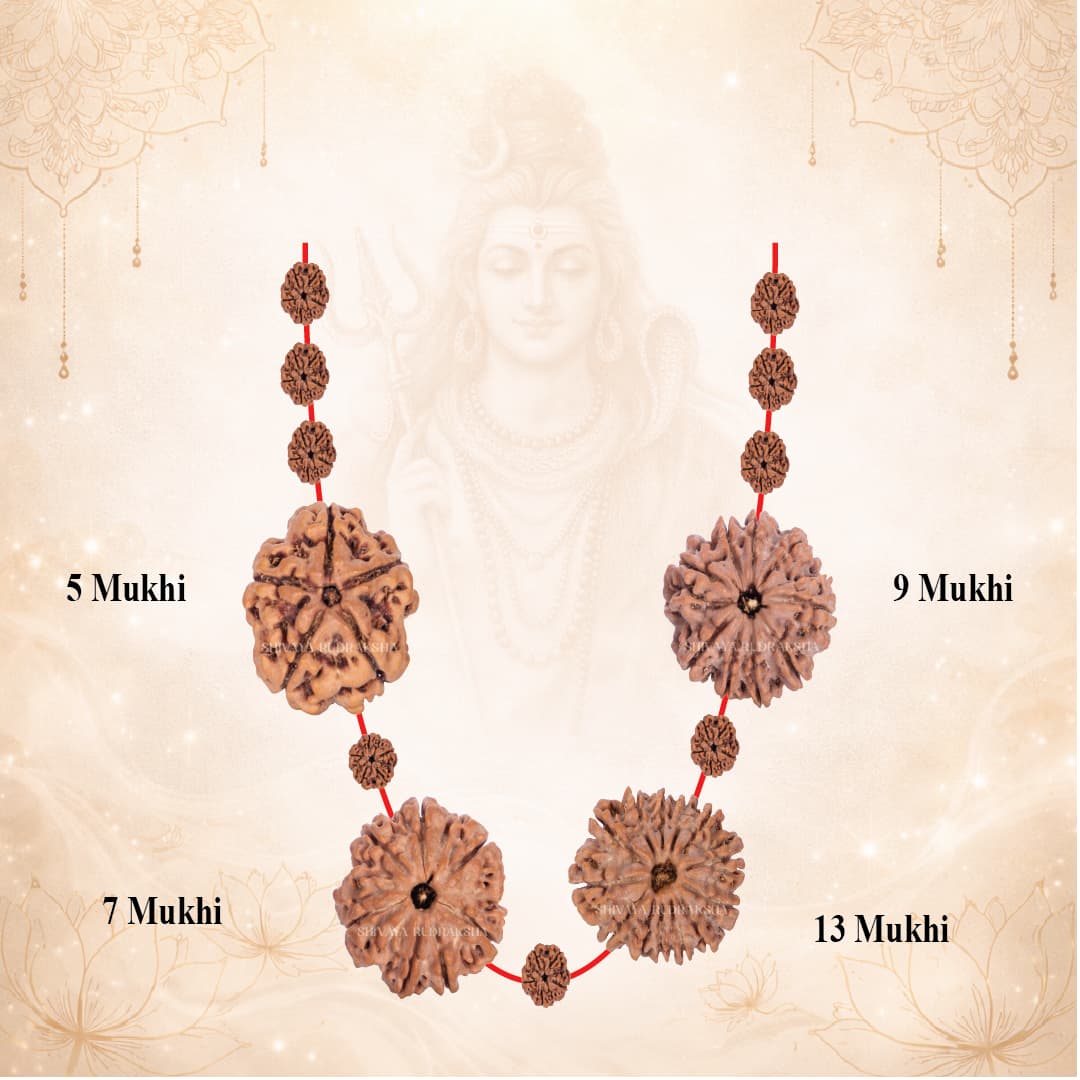 Lakshmi Wealth Attraction Set