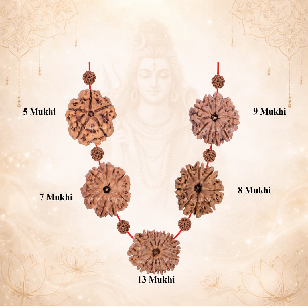 Wealth & Prosperity Supreme Mala