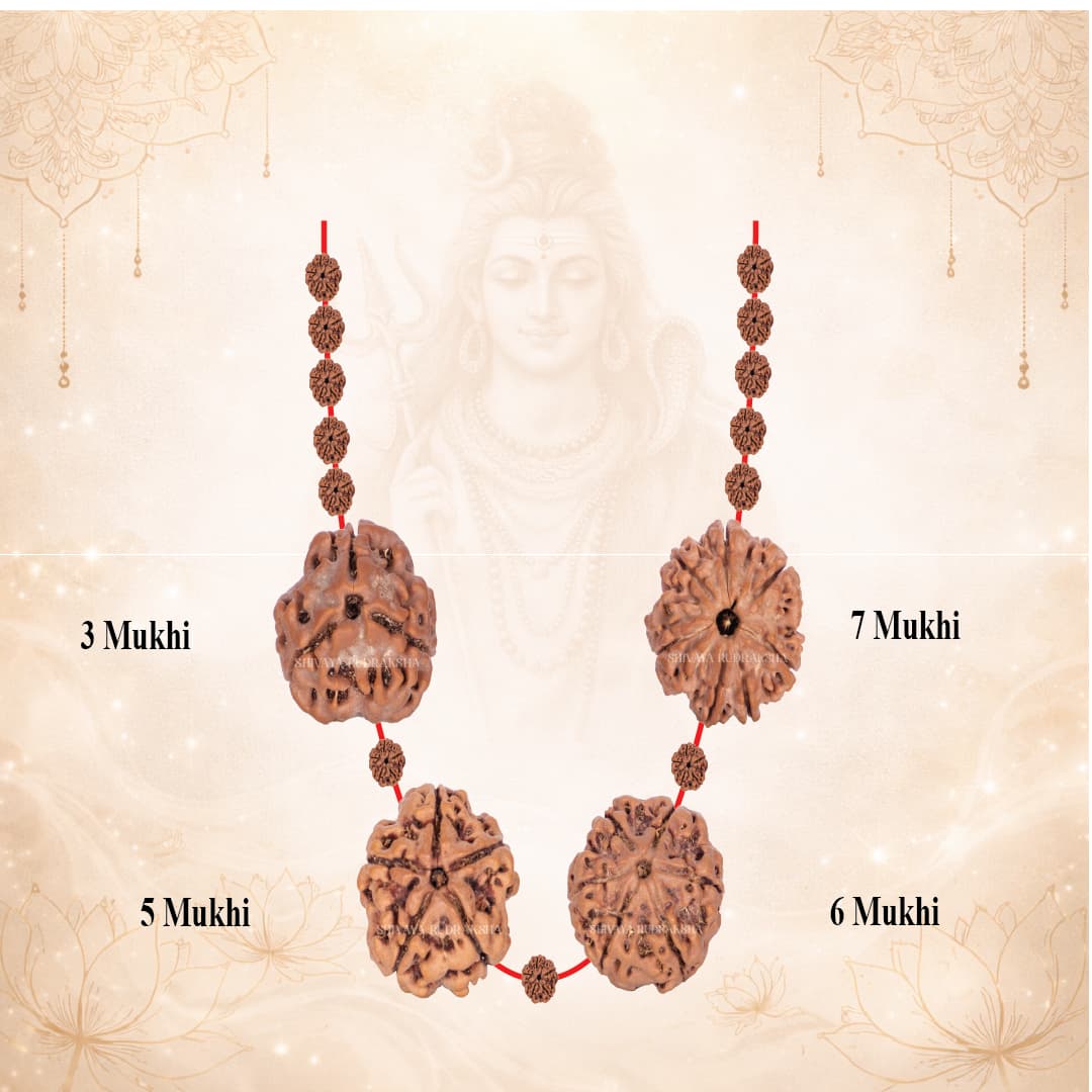 Health & Healing Premium Set