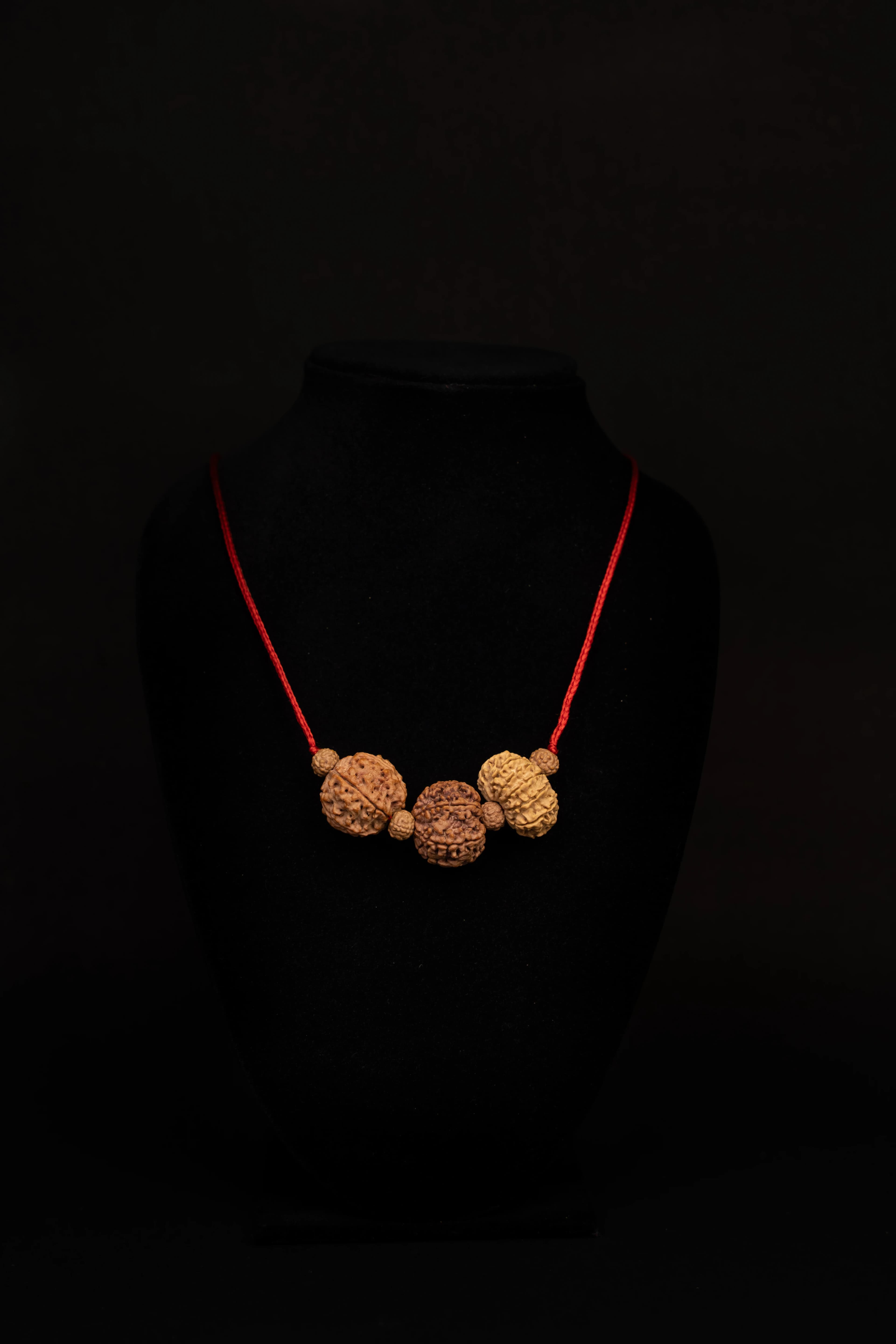 Taurus (वृषभ)