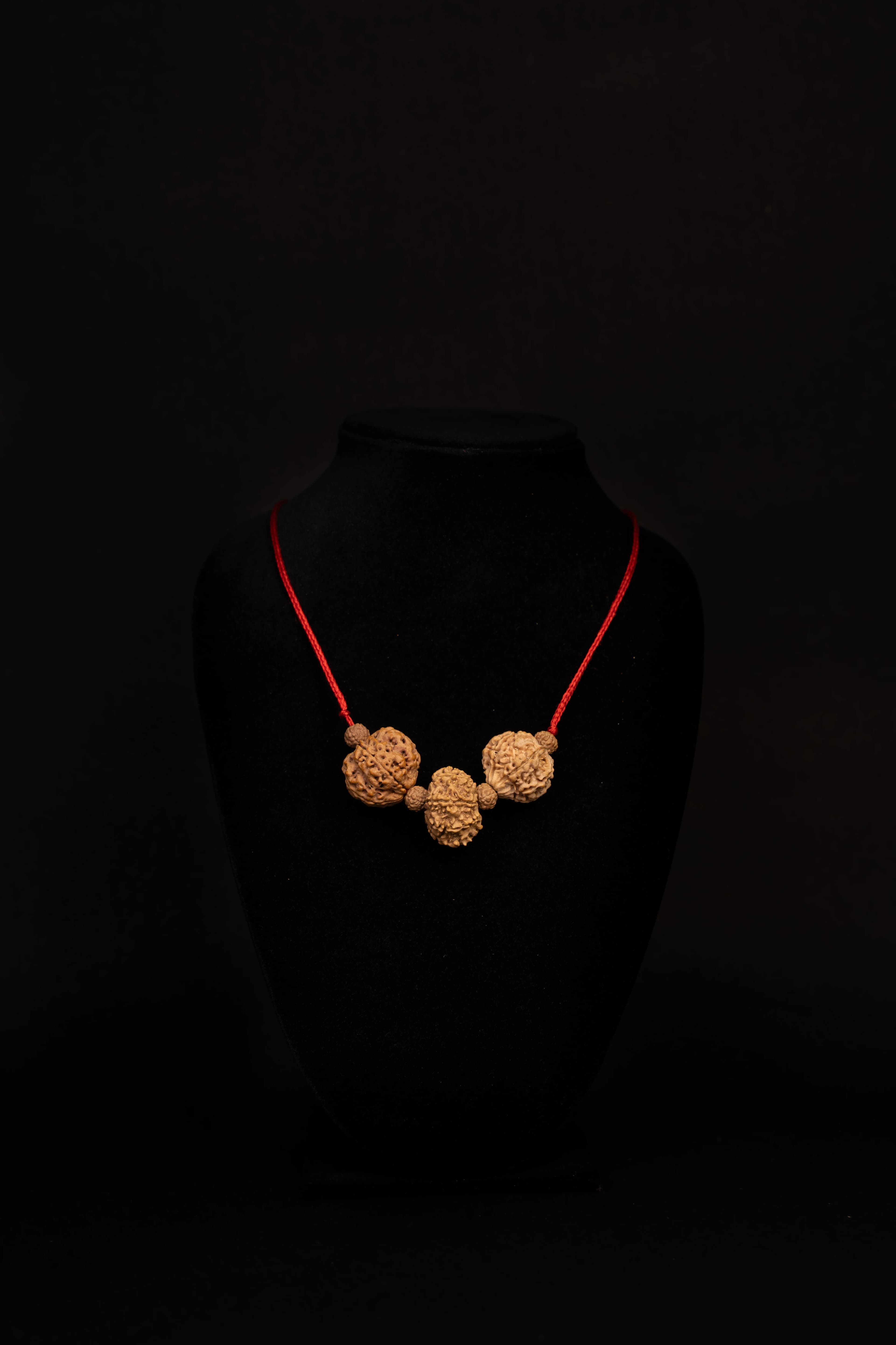 Capricorn (मकर)