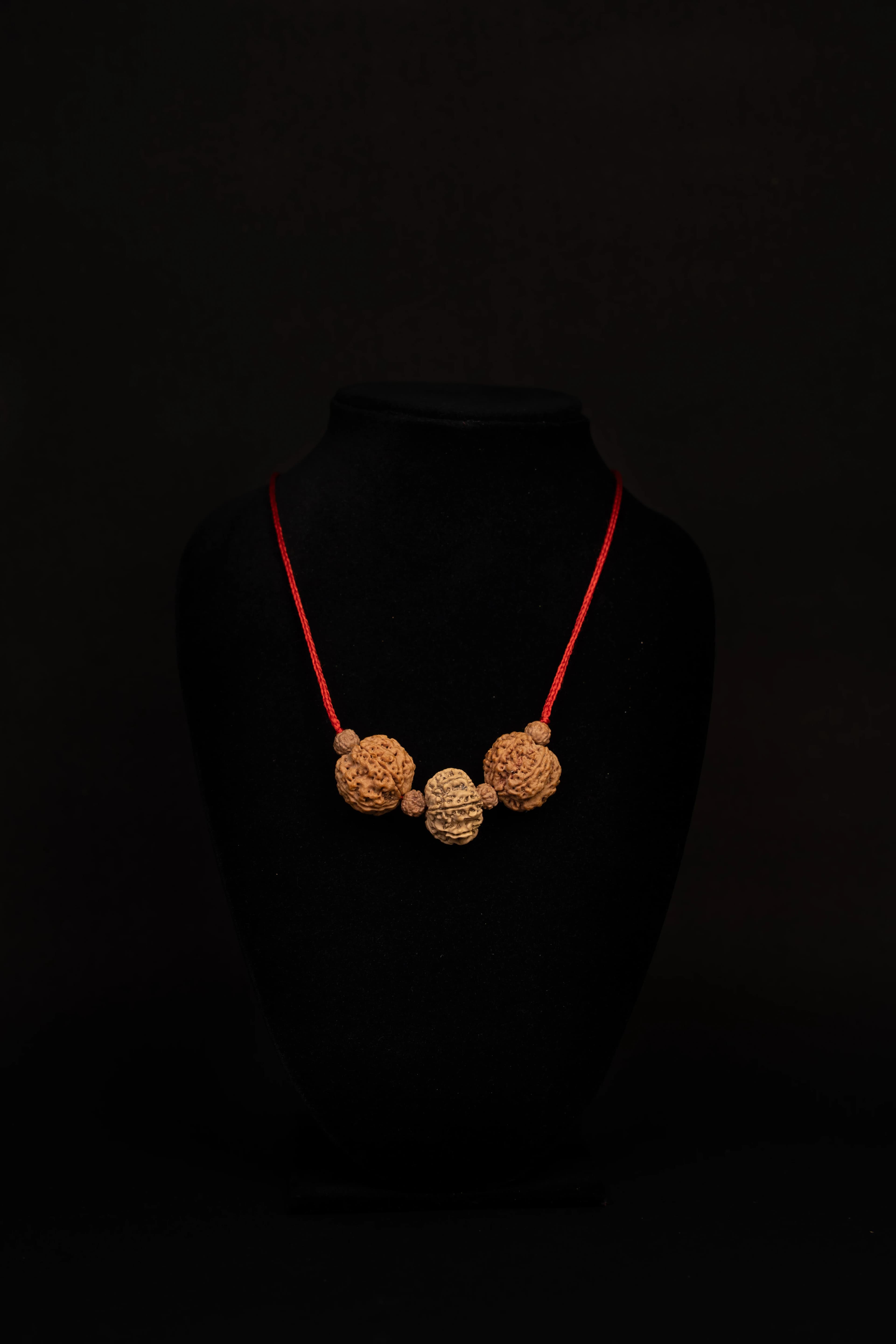 Sagittarius (धनु)